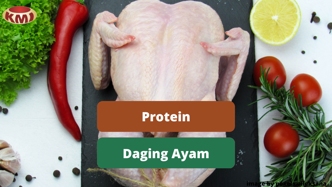 Pentingnya Konsumsi Protein Yang Tersedia Dalam Daging Ayam